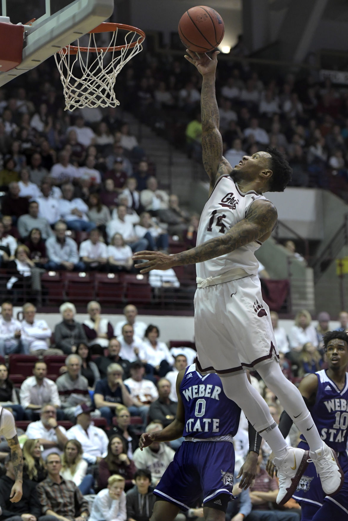 Griz vs Weber-9-tm.jpg